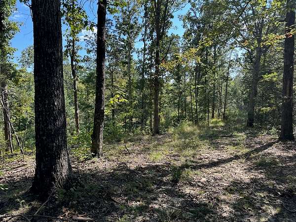 110 Acres of Land for Sale in Camden, Tennessee