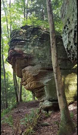 10 Acres of Land with Home for Sale in Rockbridge, Ohio