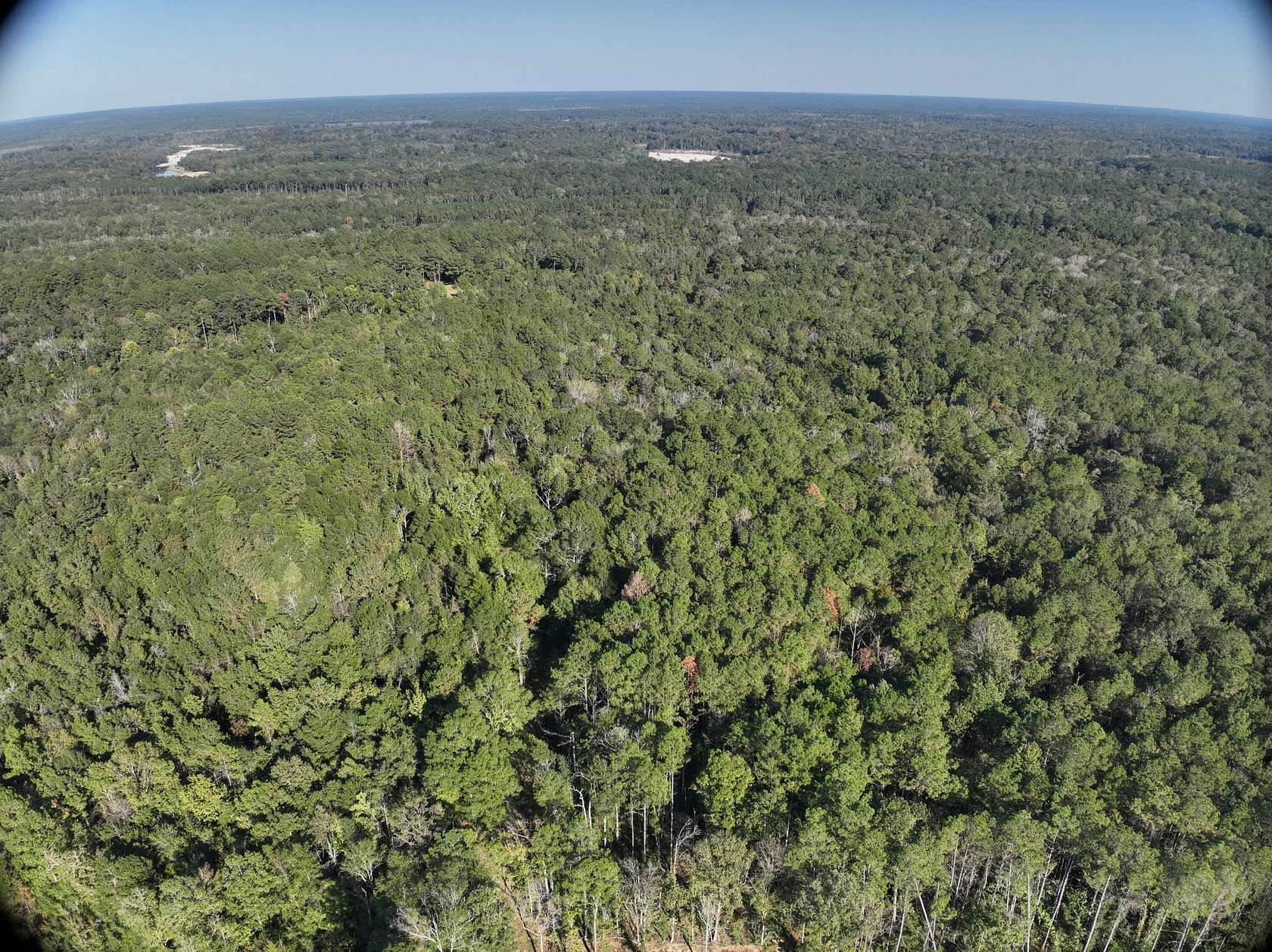 40 Acres of Recreational Land & Farm for Sale in Monticello, Mississippi