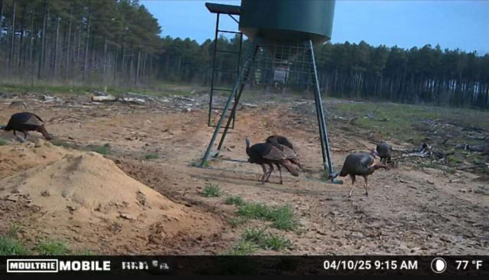 92 Acres of Recreational Land for Sale in Lonoke, Arkansas