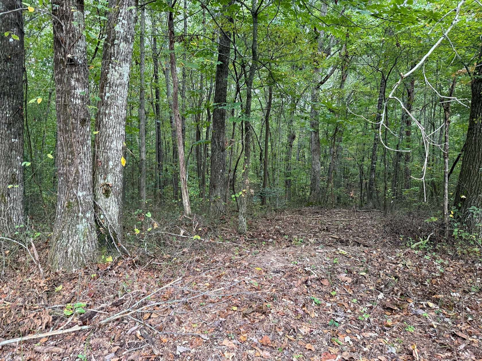 5 Acres of Recreational Land for Sale in Tracy City, Tennessee