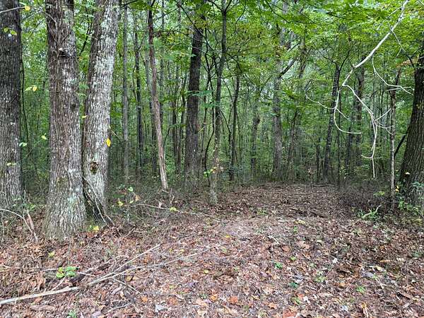 5 Acres of Recreational Land for Sale in Tracy City, Tennessee