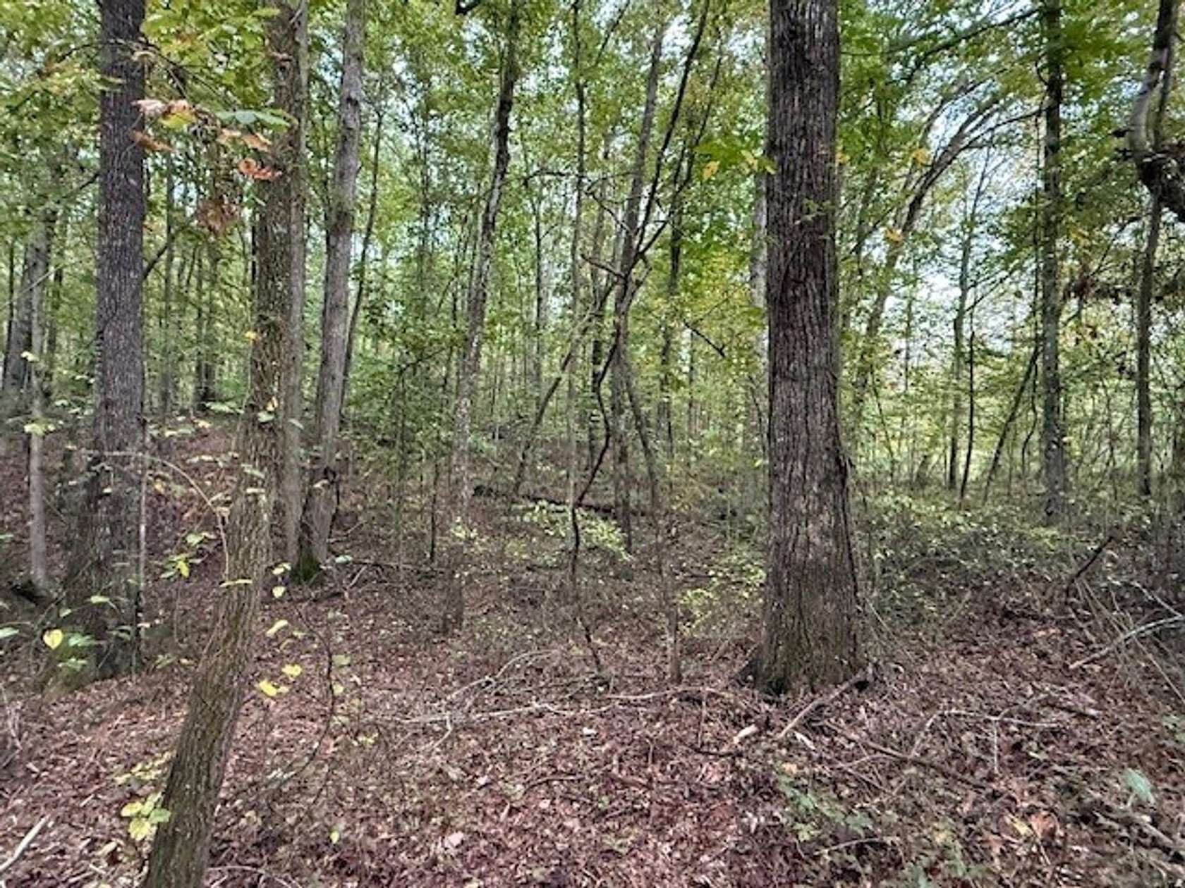 5.1 Acres of Recreational Land for Sale in Tracy City, Tennessee