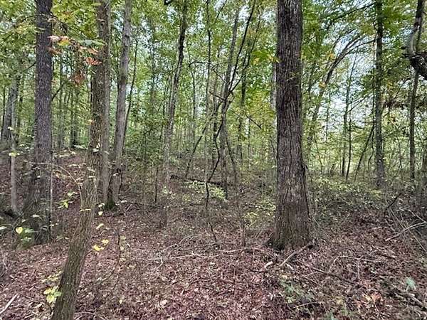 5.1 Acres of Recreational Land for Sale in Tracy City, Tennessee