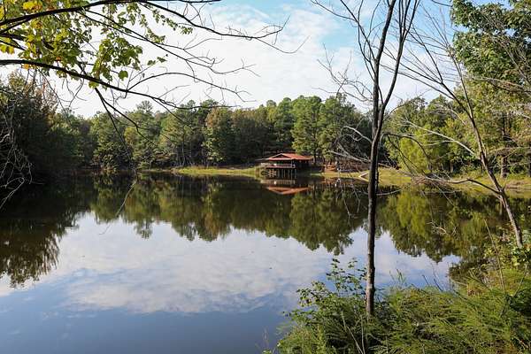 206 Acres of Land with Home for Sale in Piggott, Arkansas