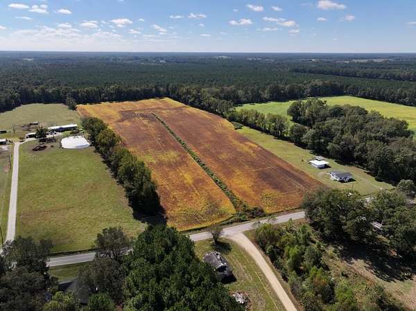 21.5 Acres of Recreational Land & Farm for Sale in Mount Olive, North Carolina