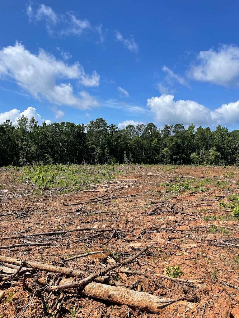 10 Acres of Recreational Land for Sale in Butler, Georgia