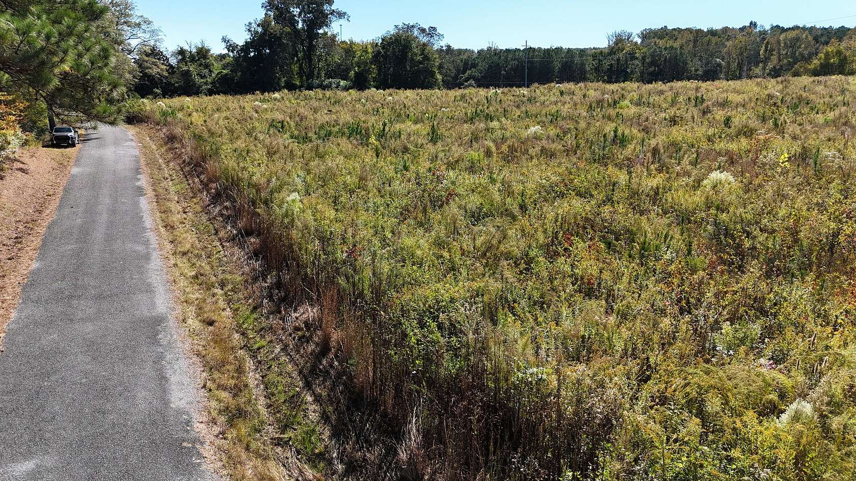 4.2 Acres of Residential Land for Sale in Collinsville, Alabama