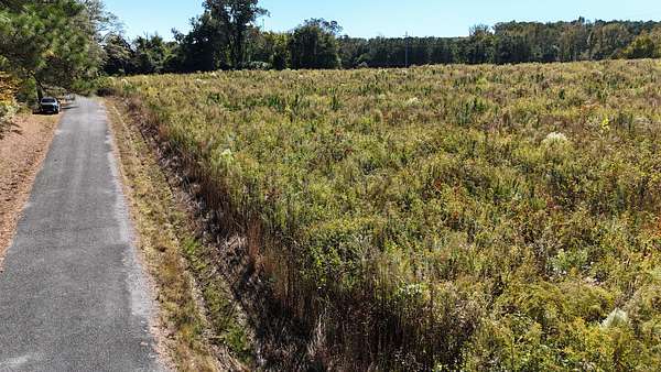 4.2 Acres of Residential Land for Sale in Collinsville, Alabama