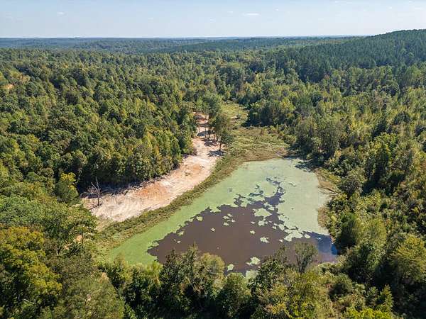 650 Acres of Recreational Land & Farm for Sale in Pittsboro, Mississippi