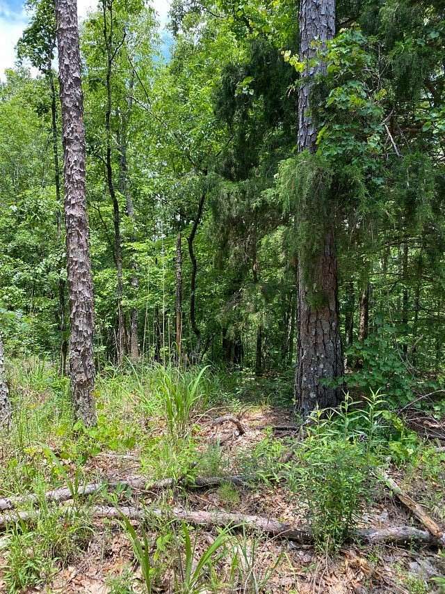 2.64 Acres of Residential Land for Sale in Waverly Hall, Georgia