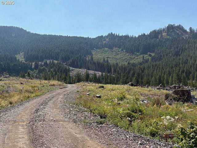 161 Acres of Land for Sale in Scio, Oregon
