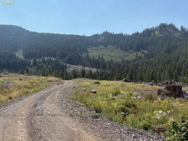 161 Acres of Land for Sale in Scio, Oregon