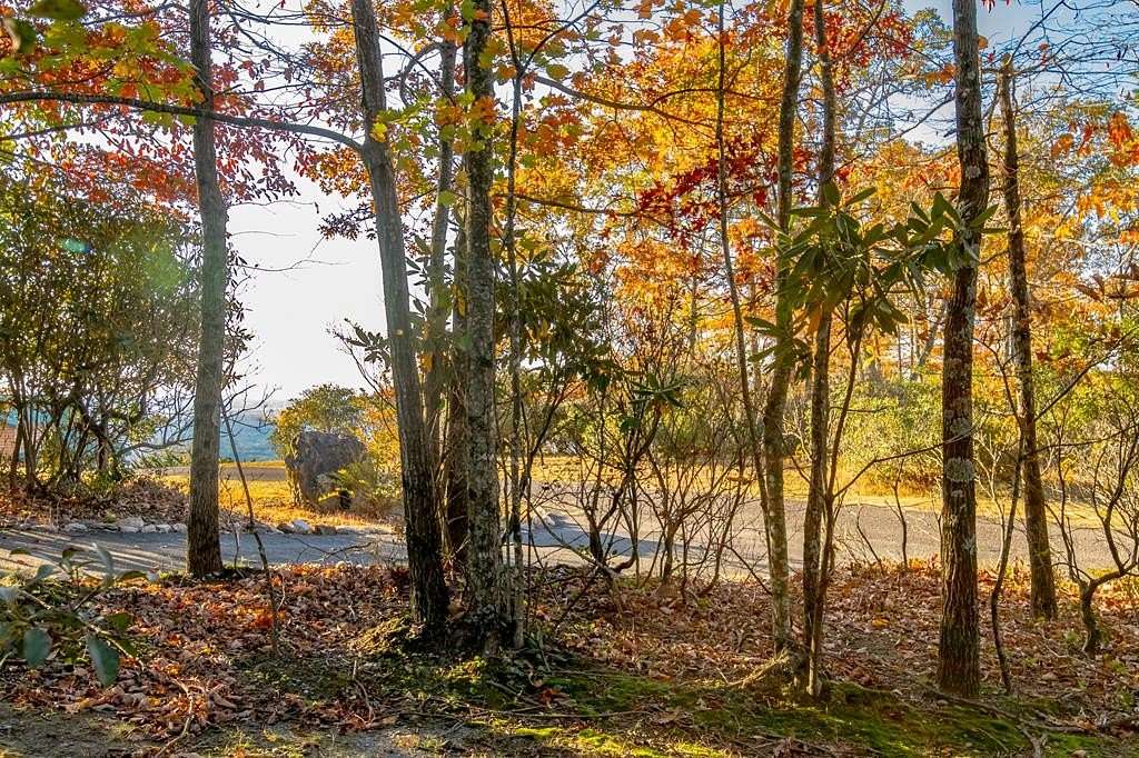 1 Acre of Residential Land for Sale in Fancy Gap, Virginia