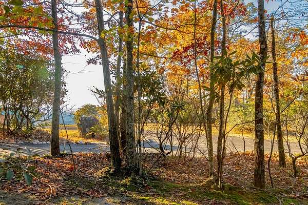 1 Acre of Residential Land for Sale in Fancy Gap, Virginia