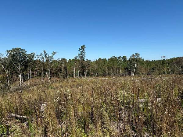 15.1 Acres of Recreational Land for Sale in McCool, Mississippi