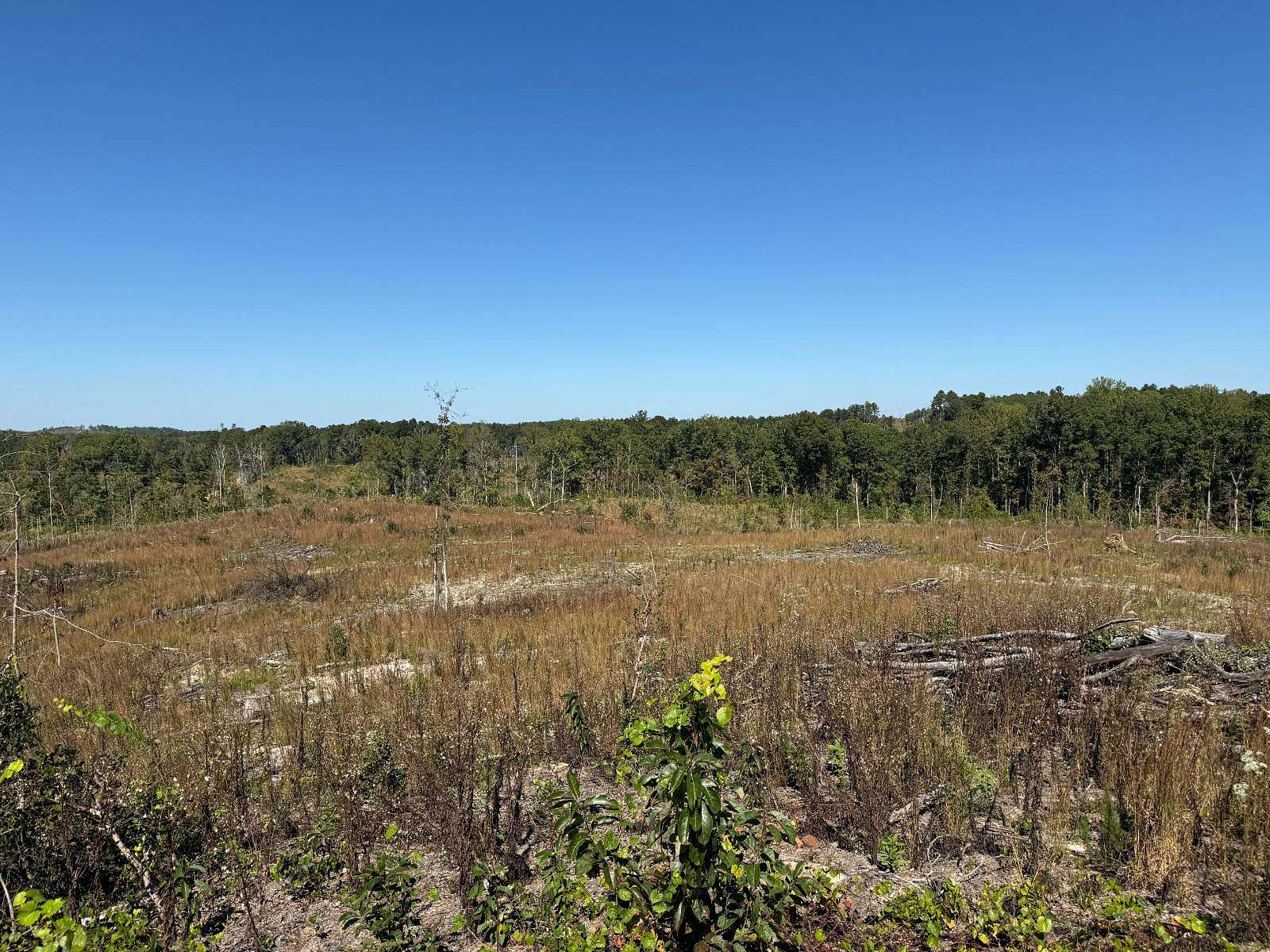 19 Acres of Recreational Land for Sale in McCool, Mississippi