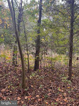 3 Acres of Residential Land for Sale in Scottsburg, Virginia