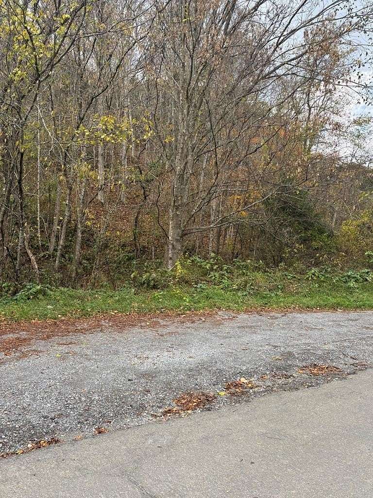 33.8 Acres of Recreational Land for Sale in Cedar Bluff, Virginia