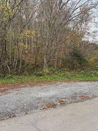 33.8 Acres of Recreational Land for Sale in Cedar Bluff, Virginia
