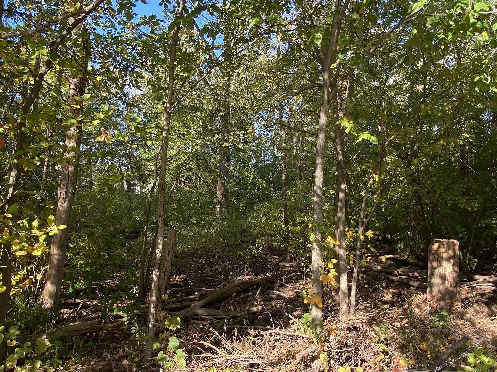 0.35 Acres of Residential Land for Sale in Valparaiso, Indiana