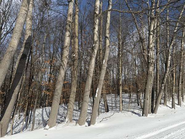 1.4 Acres of Residential Land for Sale in Sand Lake, Michigan