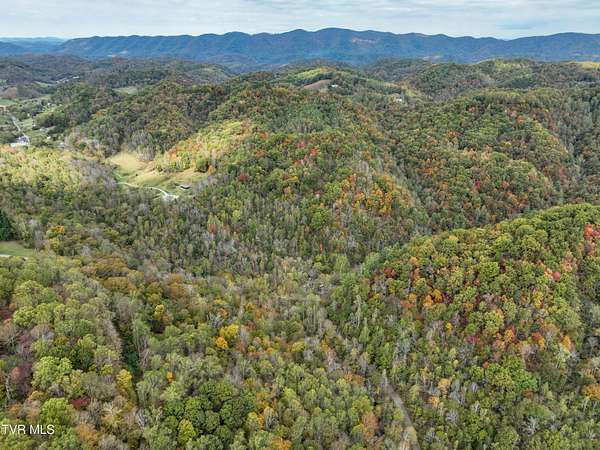 90 Acres of Recreational Land & Farm for Sale in Hiltons, Virginia