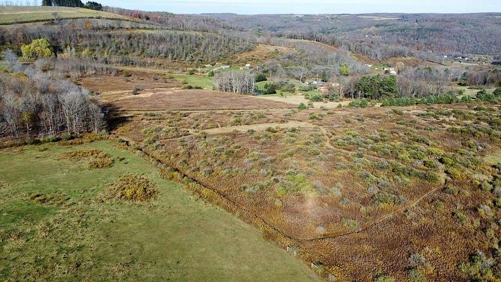 4.65 Acres of Land for Sale in Whitesville, New York