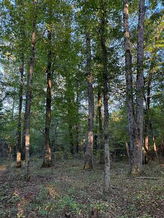 95 Acres of Recreational Land for Sale in McCool, Mississippi