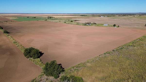 93 Acres of Recreational Land & Farm for Sale in Thalia, Texas