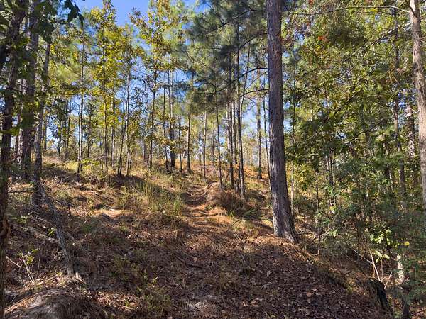 245 Acres of Land for Sale in Waynesboro, Georgia