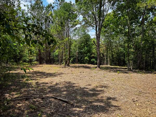 21 Acres of Recreational Land for Sale in Shady Grove, Tennessee