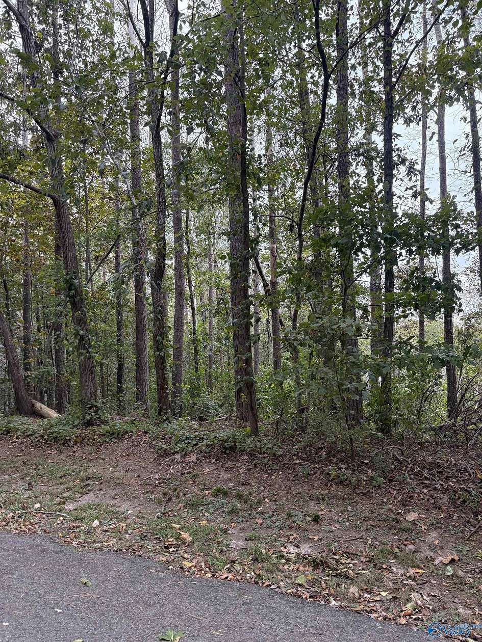 0.37 Acres of Land for Sale in Union Grove, Alabama