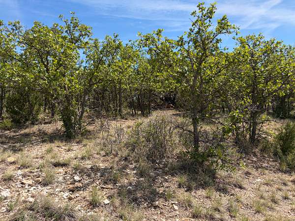 0.28 Acres of Residential Land for Sale in Colorado City, Arizona