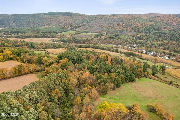 50 Acres of Land for Sale in Blenheim Town, New York