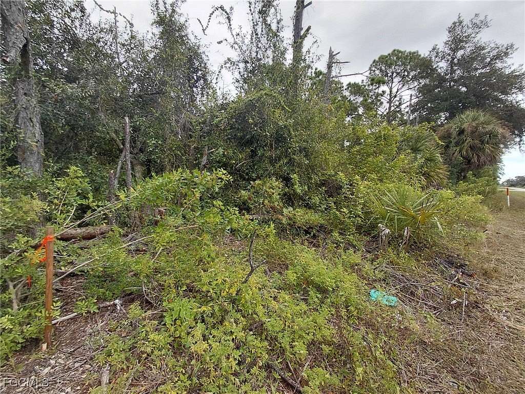 1 Acre of Land for Sale in Clewiston, Florida