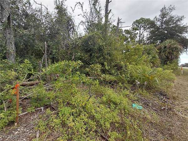 1 Acre of Land for Sale in Clewiston, Florida