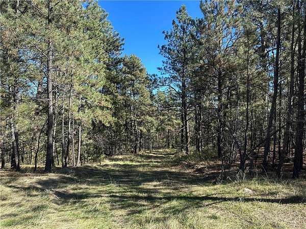24.3 Acres of Recreational Land for Sale in Roundup, Montana