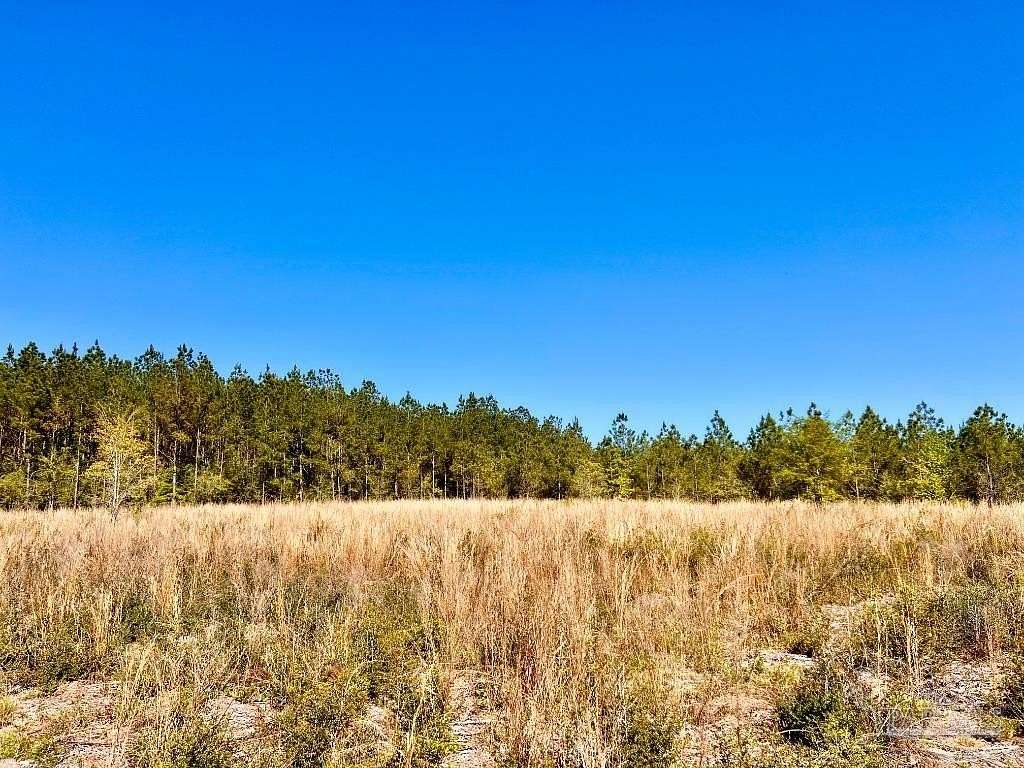 15 Acres of Land for Sale in Pace, Florida