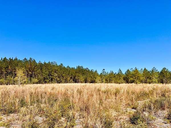 15 Acres of Land for Sale in Pace, Florida