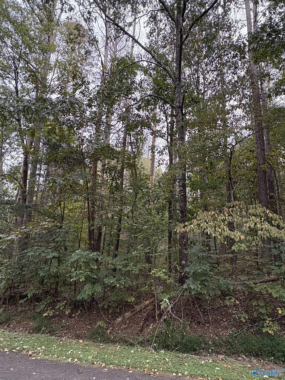 0.36 Acres of Land for Sale in Union Grove, Alabama