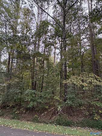 0.36 Acres of Land for Sale in Union Grove, Alabama