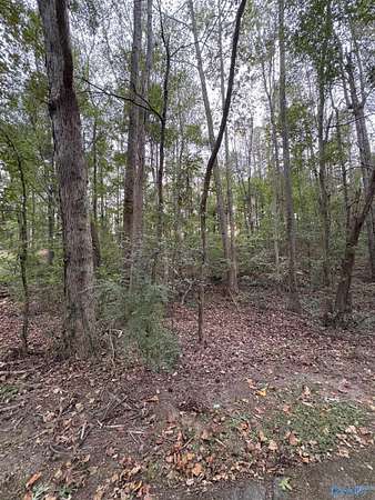 0.35 Acres of Land for Sale in Union Grove, Alabama