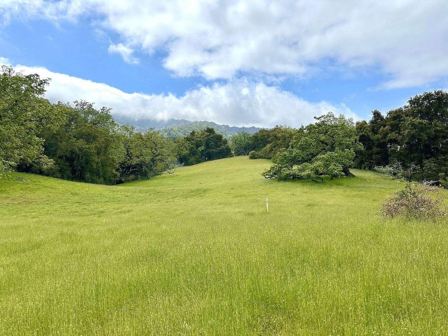 10.2 Acres of Land for Sale in Carmel-by-the-Sea, California