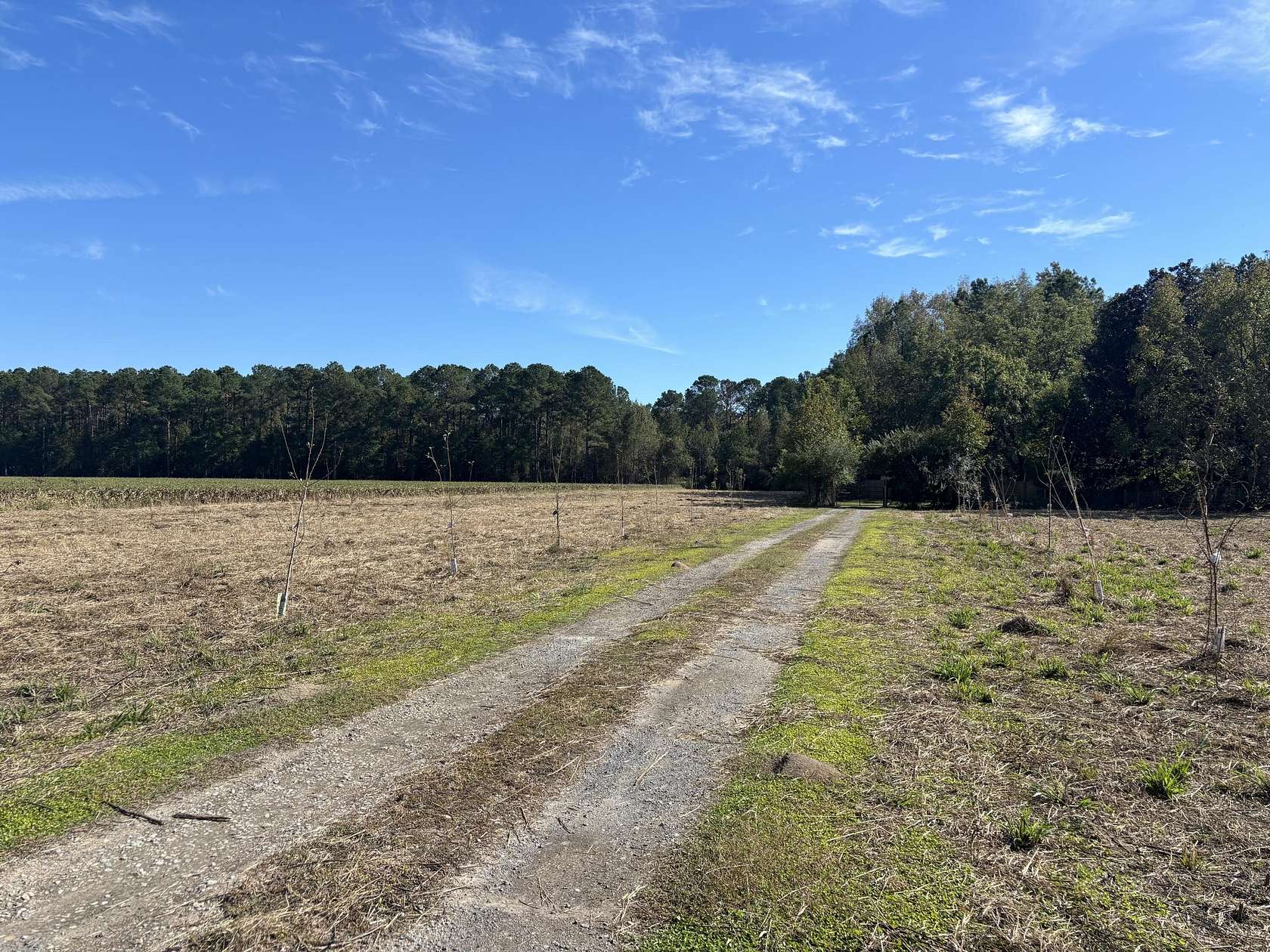 4.5 Acres of Residential Land with Home for Sale in Gable, South Carolina
