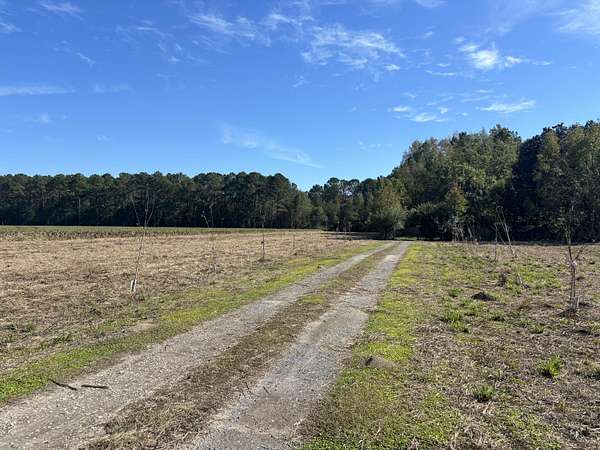 4.5 Acres of Residential Land with Home for Sale in Gable, South Carolina