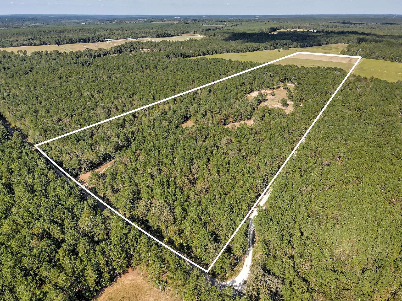 38 Acres of Agricultural Land for Sale in Wagener, South Carolina