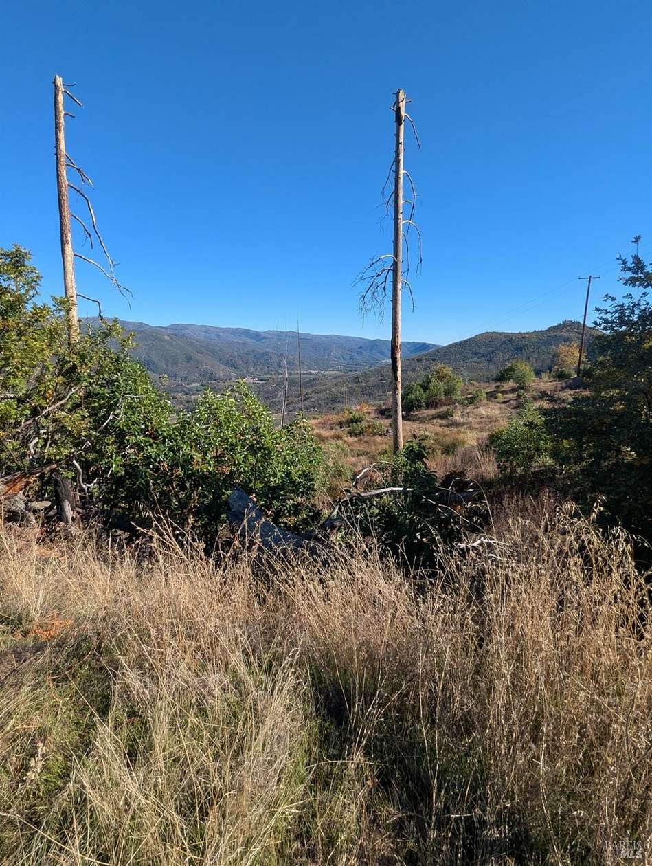 19.5 Acres of Recreational Land for Sale in Upper Lake, California