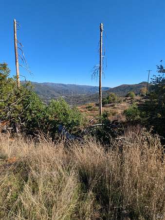 19.5 Acres of Recreational Land for Sale in Upper Lake, California
