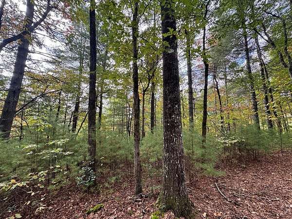 1 Acre of Residential Land for Sale in Franklin, North Carolina
